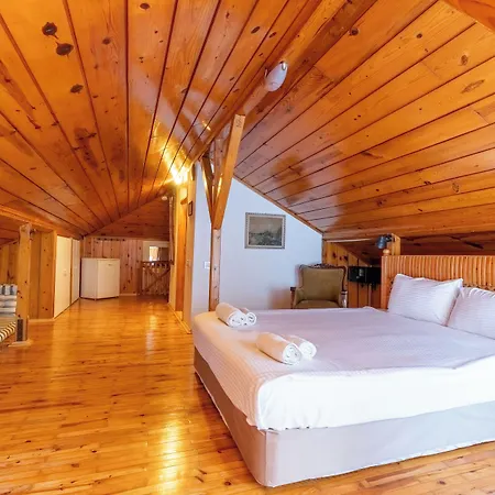 Hotel Atelya Art